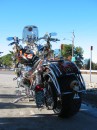 IMG_5904 * 1260 x 1678 * (471KB)